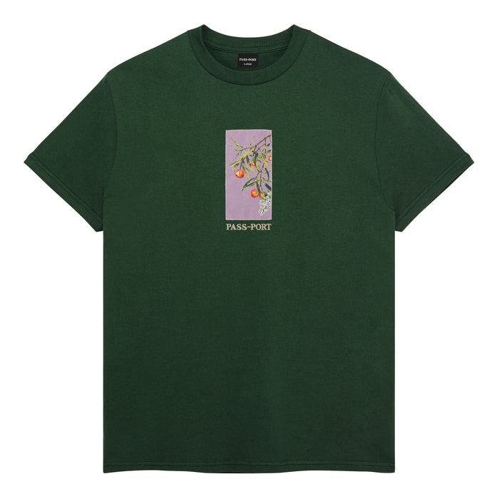 Pass~Port Quandong Tee (Forest Green)