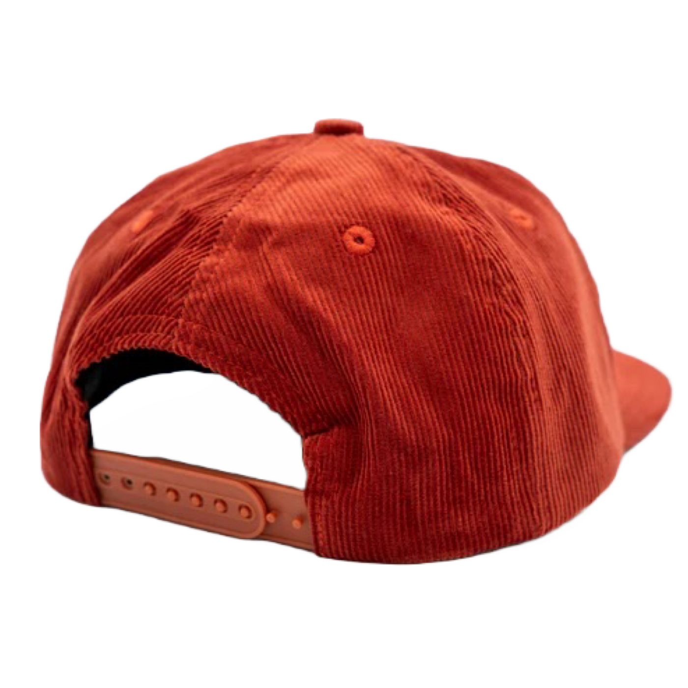 Autumn Corduroy Snapback-Artist Series Hat