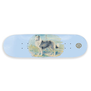 2025 Skateboard Hardgoods