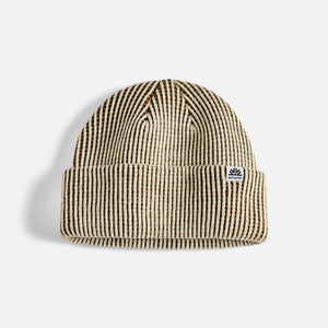 Autumn Static Beanie